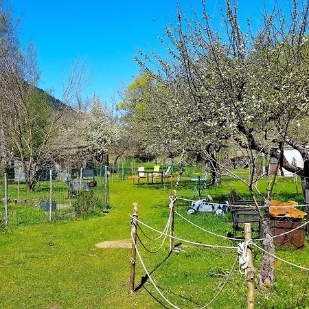 Апартаменты La Cerisole Сент-Этьен-де-Тине Экстерьер фото
